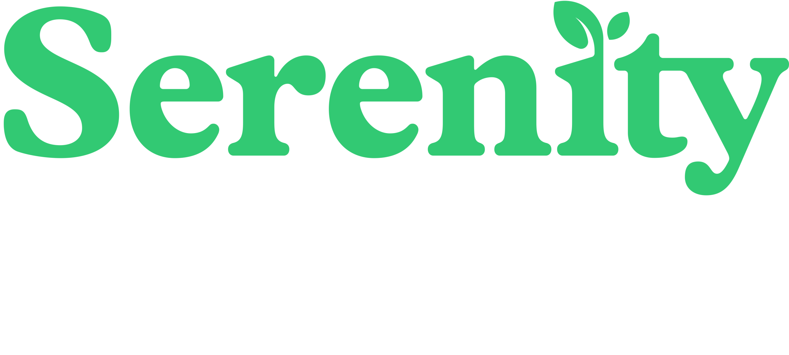 Logo Serenity Forge